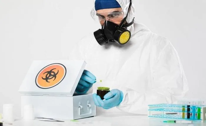 Exploring Non-Chemical Strategies for Bed Bug Control Screenshot 9