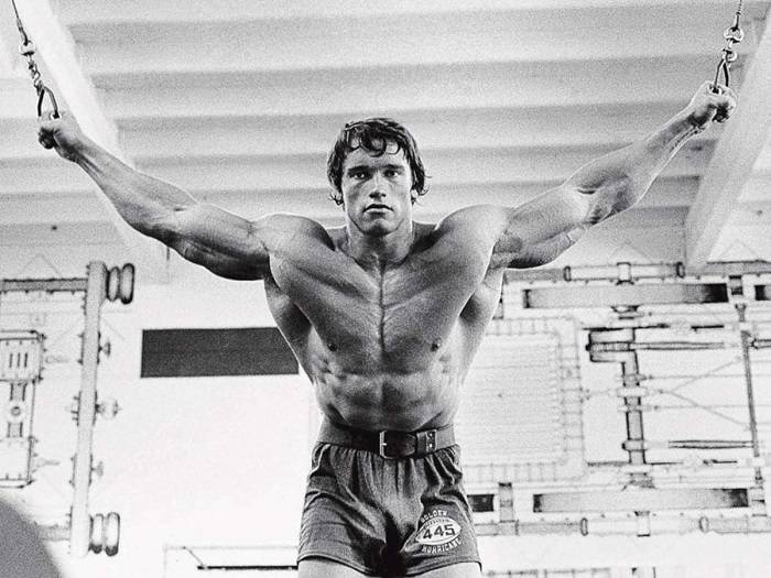 Arnold Schwarzenegger Career Highlights