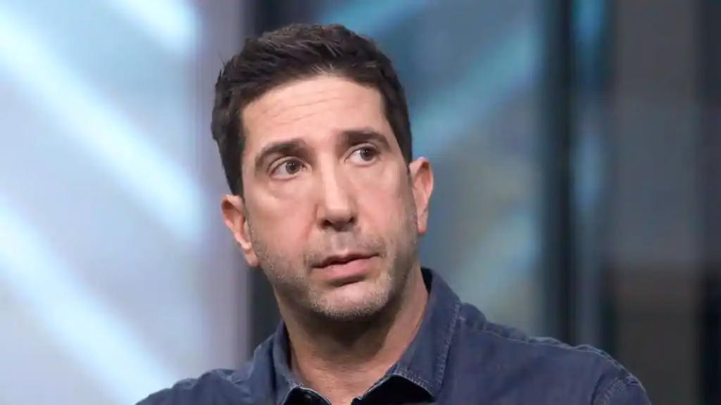 David Schwimmer Net Worth: Age, Notable Works, Social Work, Controversy, Nationality, Career, Occupation in 2024 David Schwimmer Net Worth