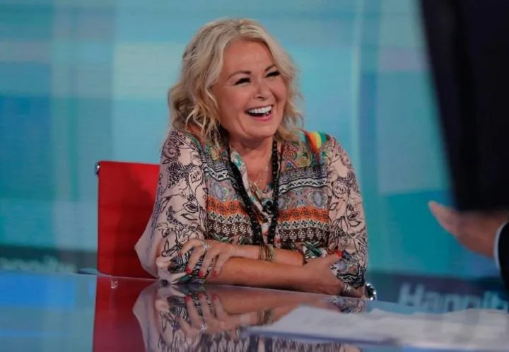 Roseanne Barr Net Worth: Age, Notable Works, Social Work, Controversy, Nationality, Career, Occupation in 2024 Roseanne Barr Net Worth