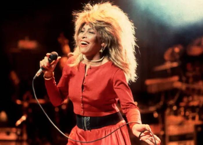 Tina Turner Net Worth 2