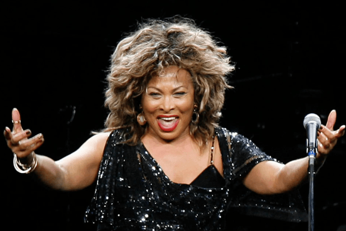 Tina Turner Net Worth