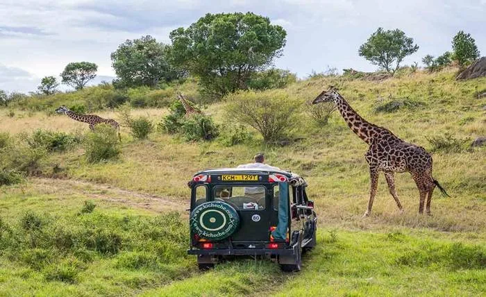 Maximize Your Kenya Safari Experience with a Trusted Travel Agency wsrw2