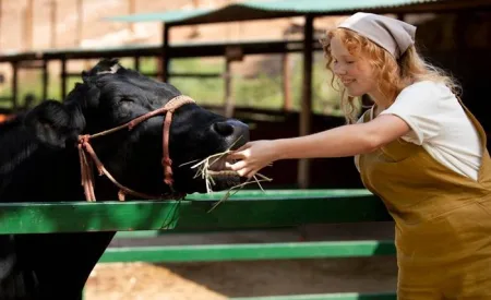 Customized Feeds for Happy Animals: Dispelling the Myth of Generic Animal Feeding Customized Feeds for Happy Animals Dispelling the Myth of Generic Animal Feeding