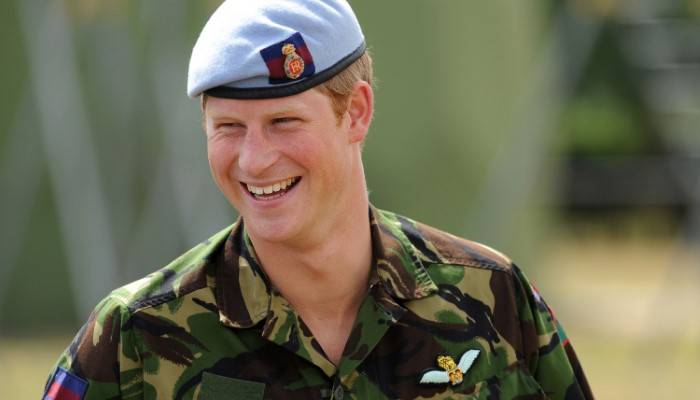 Prince Harry Career and Occupation