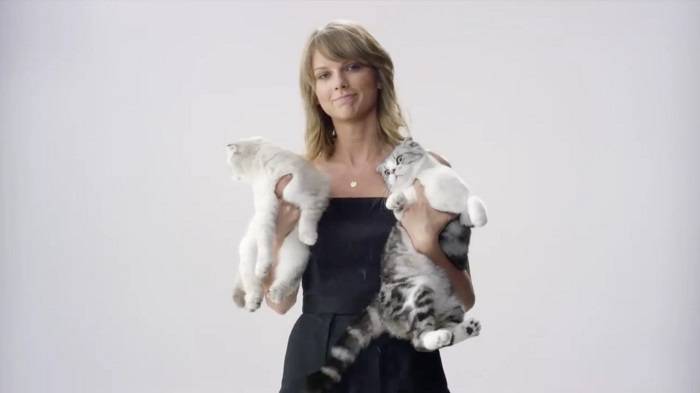 Taylor Swift Cat Net Worth 1