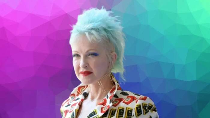 cyndi lauper net worth 2024 1