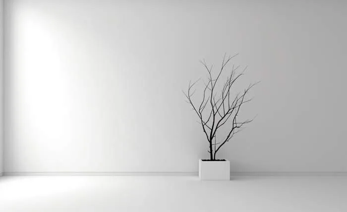 Celebrity Home Décor Trends: Inside the Homes Inspiring 2025 Interiors 11