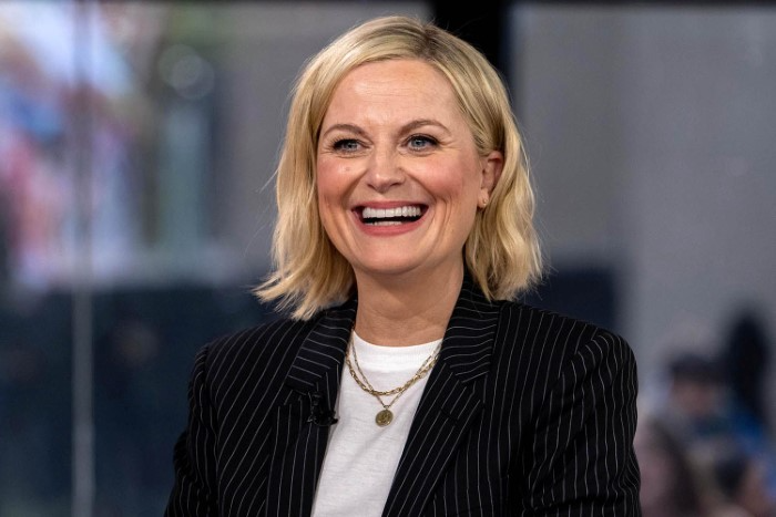 Amy Poehler Career Journey