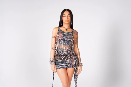 yailin la mas viral net worth