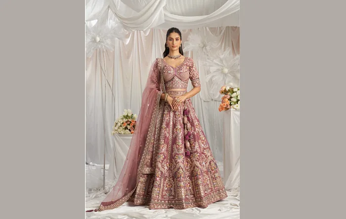 Celebrating Tradition: Saree and Lehenga Styles for the Modern Indian Woman Screenshot 7 2
